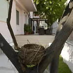 Degli Angeli فندق مبيت وإفطار برايا إيه ماري
