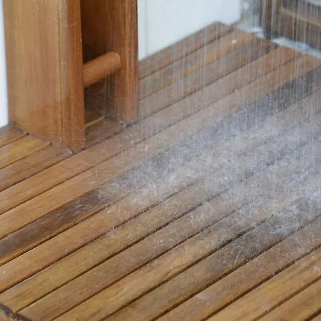 Bed & Breakfast Degli Angeli Praia a Mare