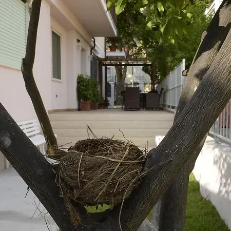 Degli Angeli Bed & Breakfast Praia a Mare