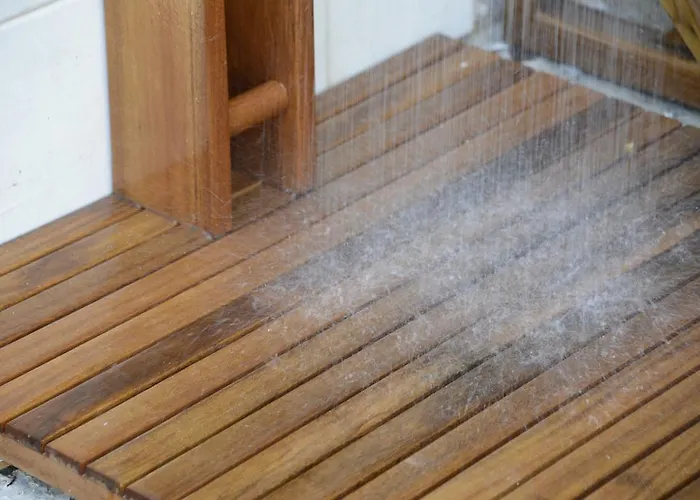 Alojamento de Acomodação e Pequeno-almoço Degli Angeli Praia a Mare