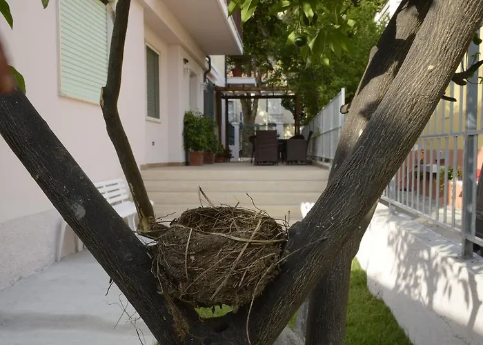Degli Angeli Alojamento de Acomodação e Pequeno-almoço Praia a Mare